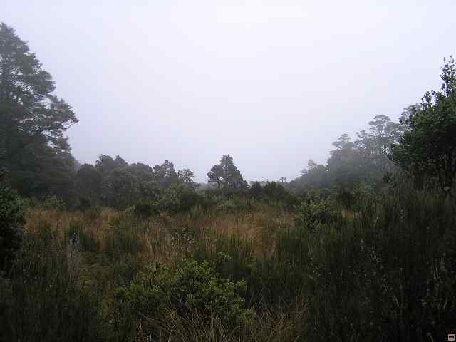 NZ leden-unor 2006 285.jpg
